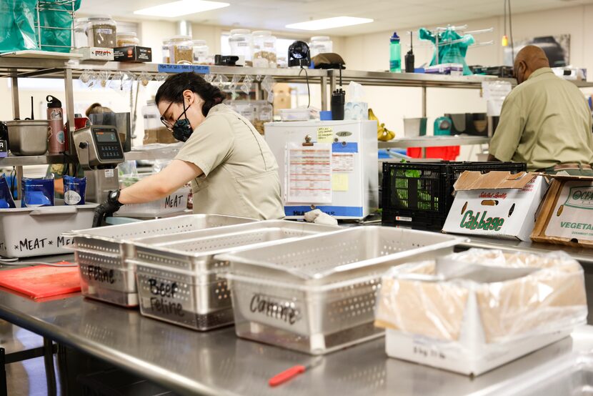 Paulina Hernandez Jaramillo prepares food for animals Wednesday at the Dallas Zoo. She has...