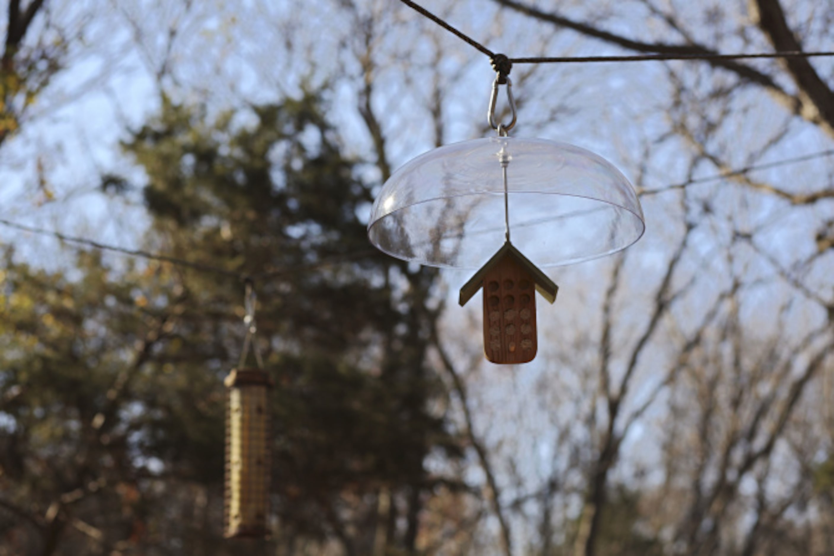 To join the count in Cedar Hill, or anywhere else where a National Audubon Society's count...