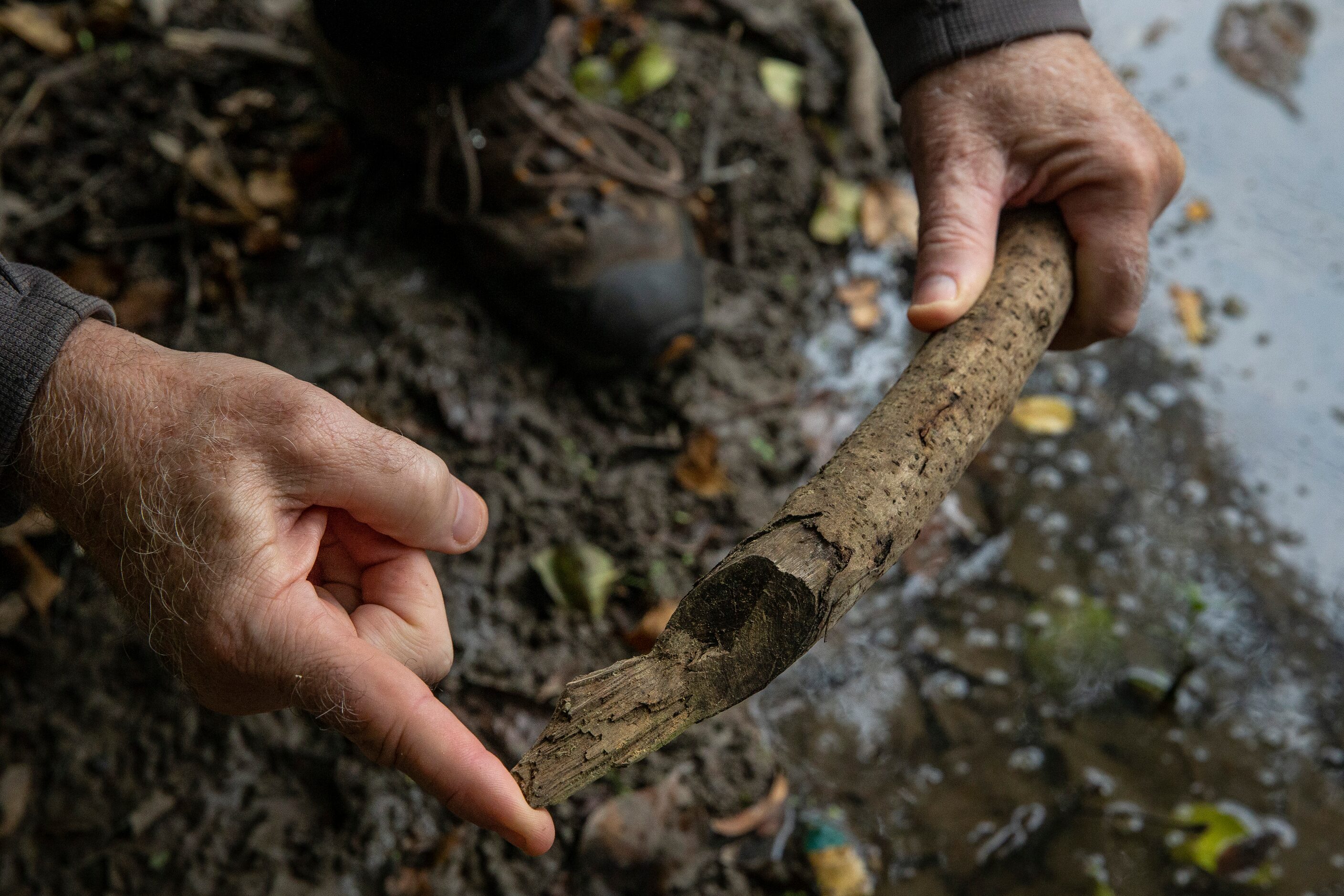 Kelly Cotten, former president of the Environmental Center of Dallas and Dallas Audubon...