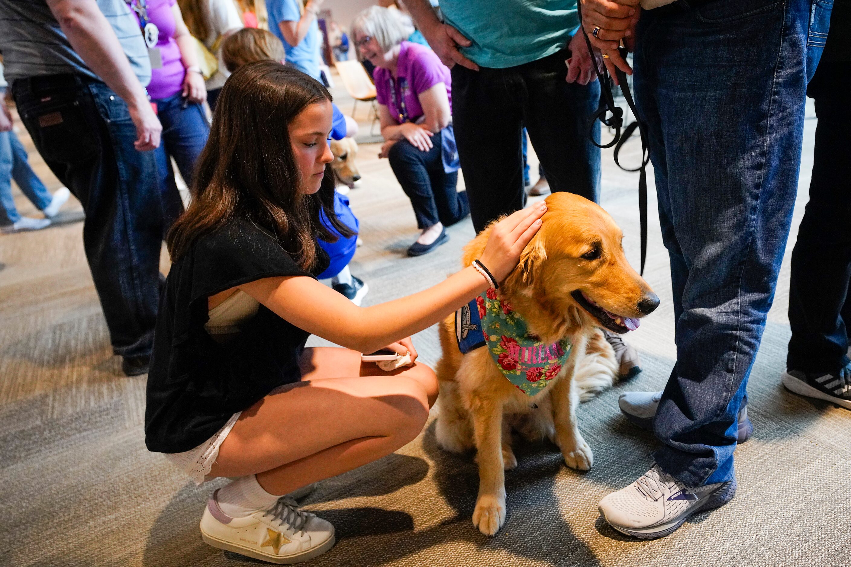 Therapy dogs are available in the lobby following a vigil at Cottonwood Creek Church a day...