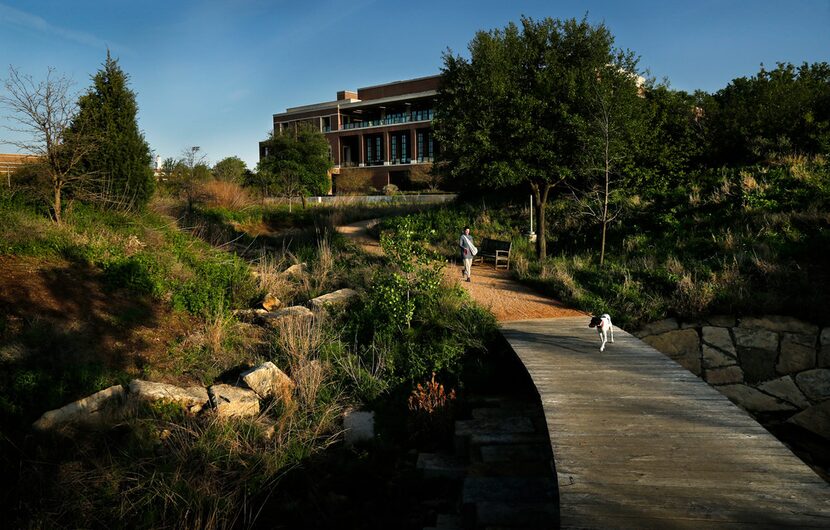 A woman walks her dog in the 15-acre Native Texas Park. Blackland Prairie, Post Oak Savannah...