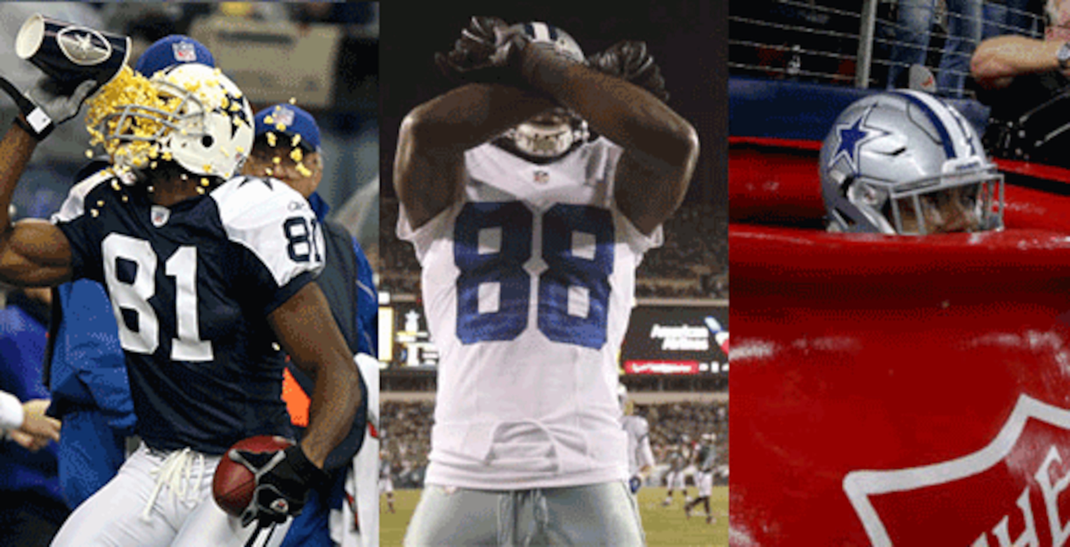 Terrell Owens Touchdown Celebration GIFs