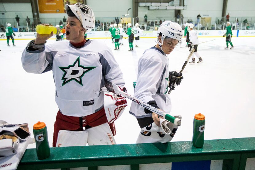 Goalie Jake Oettinger (left) and defenseman Miro Heiskanen pause during a break on the first...