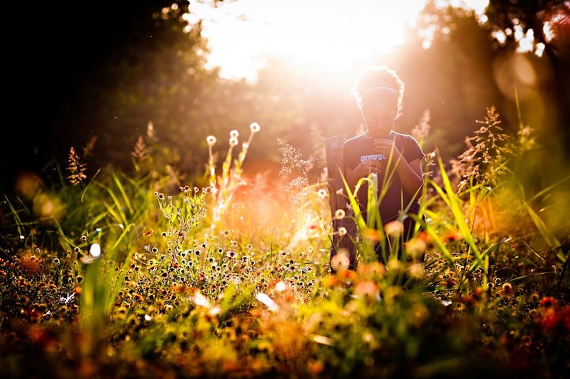 VOTERS' CHOICE WINNER: Sun and Field, by Noel Salazar. Noel's comment: "Great light, great...