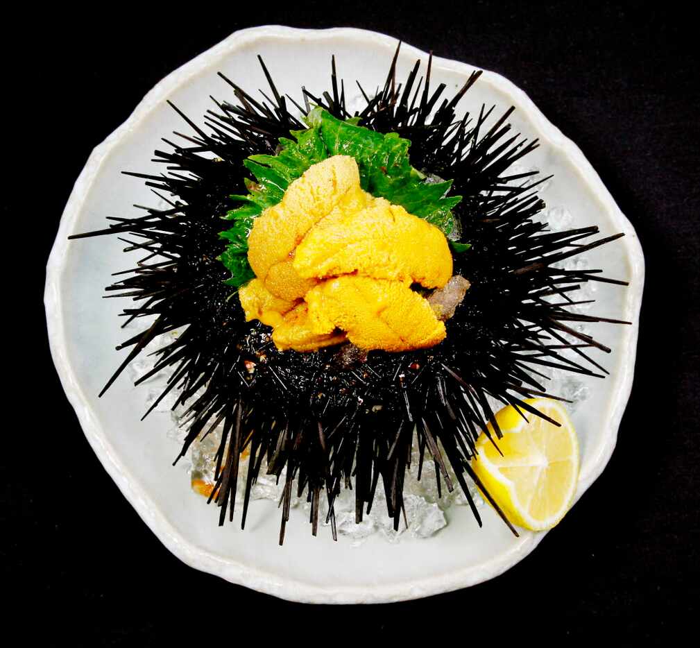 This is a live sea urchin prepared by Chef Teiichi Sakurai of Tei-An.