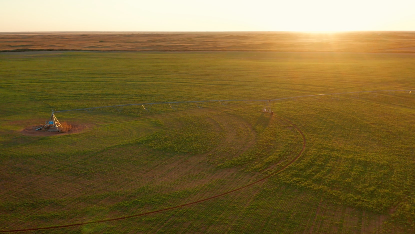 This 640-acre property in Terry County offers 80 acres of vineyards planted with 10...