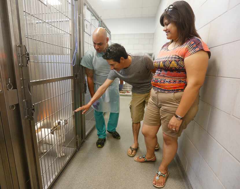 Employee Robert Baker, left, helps Gus and Cindy Camarillo as they look for a dog at Dallas...