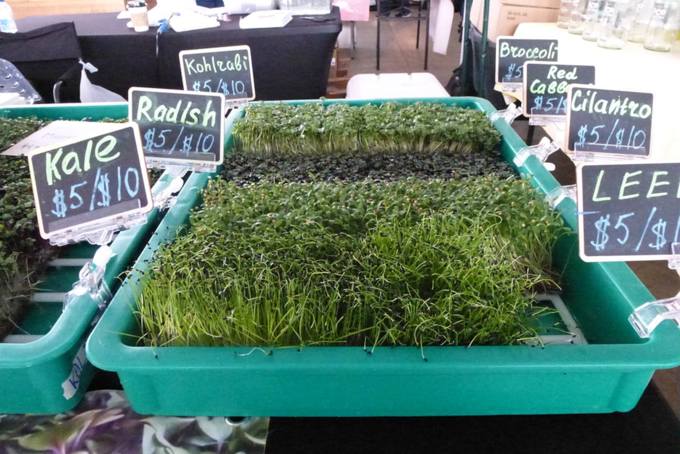 Timeya's Microgreens in Highland Village grow microgreens on coconut fiber mats.