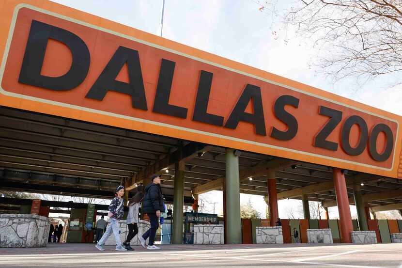 People enter Dallas Zoo on Saturday, Jan. 14, 2023 in Dallas. 