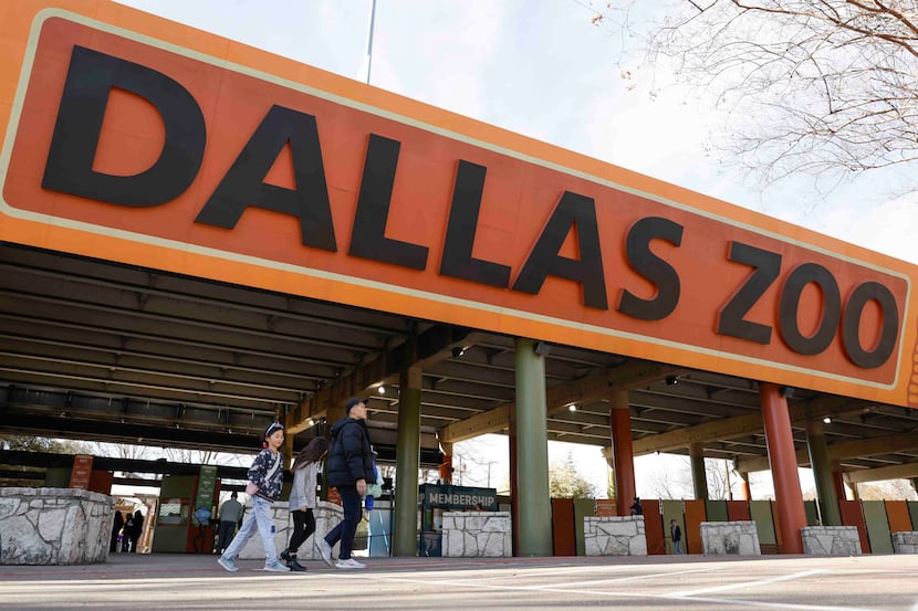 Dallas Zoo president and CEO told The Dallas Morning News that the zoo is consulting with...
