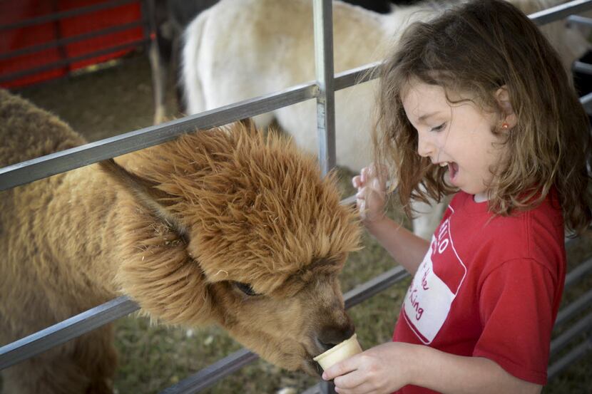 The Plano Family Expo will have a petting zoo for kids and kids-at-heart.