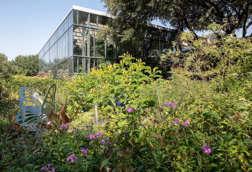 The Master Gardeners' Garden is one of the most spectacular beds at Texas Discovery Gardens...