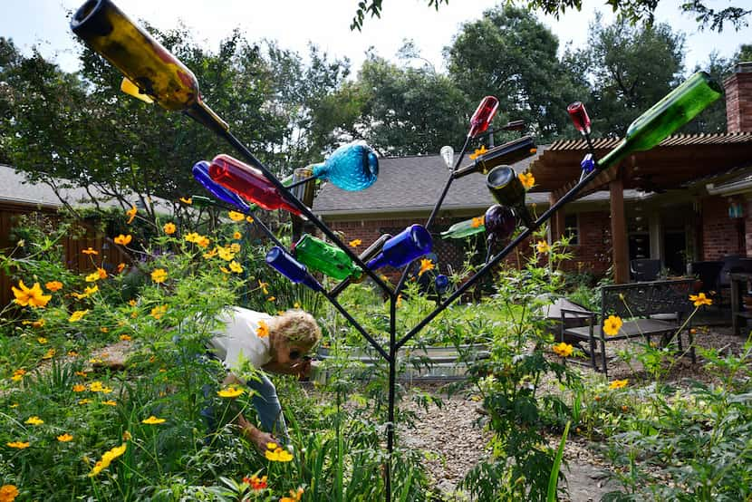 Felix built an iron sculpture with bottles in his Dallas backyard.