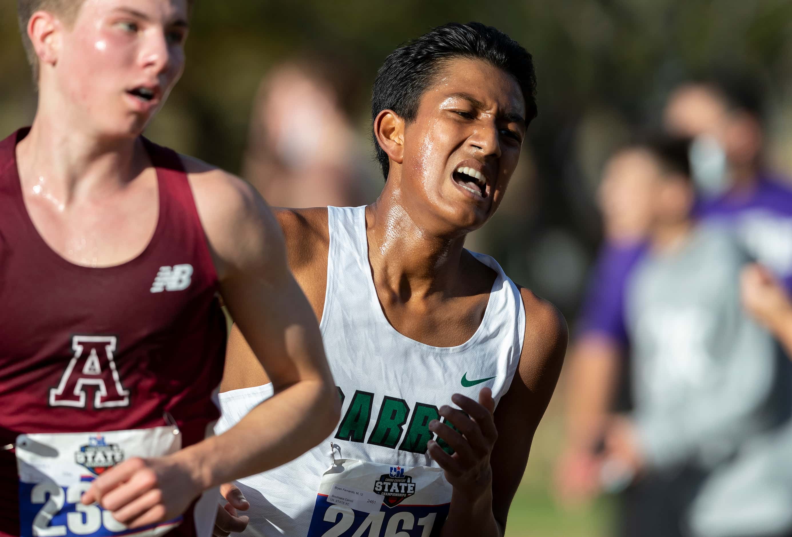 Southlake Carroll's Bryan Fernando (2461) competes in the boys UIL Class 6A state cross...