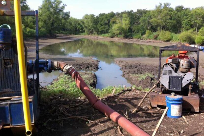 Pumps pulled water from a pond in the Great Trinity Forest until a city inspector halted the...