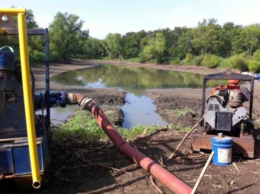 
Pumps pulled water from a pond in the Great Trinity Forest until a city inspector halted...