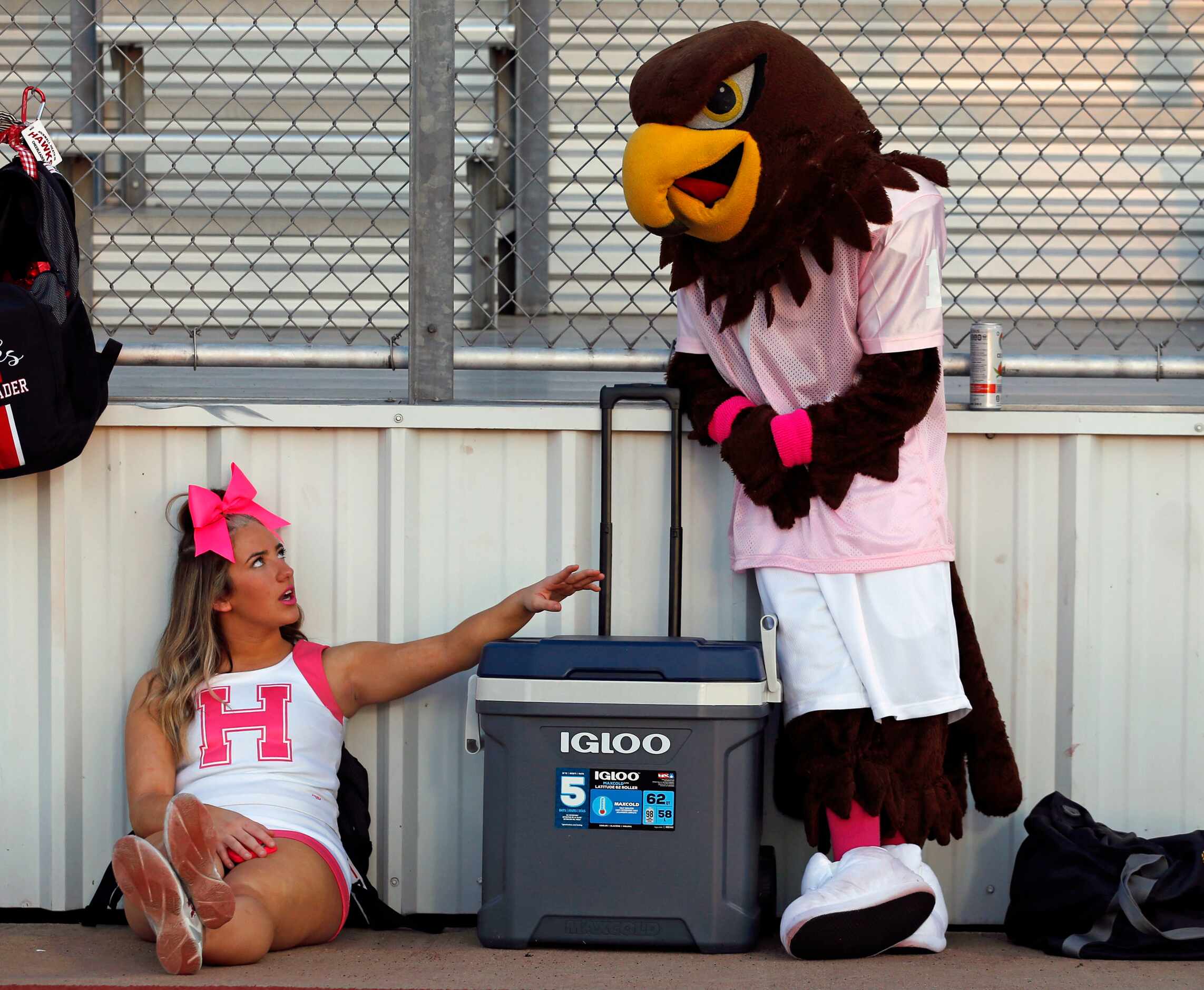 Rockwall Heath cheerleader Kayleight Krowka, a junior, chats with team mascot ‘Harley the...