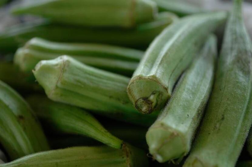Okra grown by local farmer, J.T. Lemley, on his property near Canton, Texas at the Dallas...