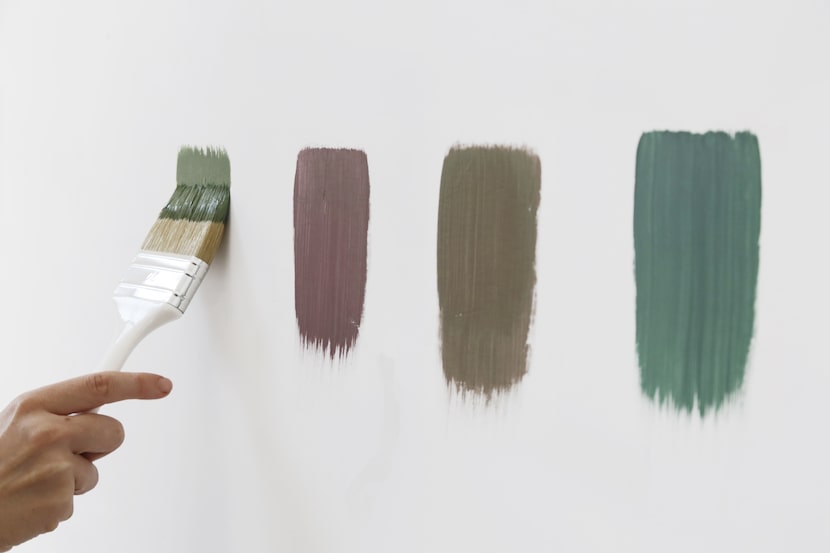 person testing paint colors on a white wall