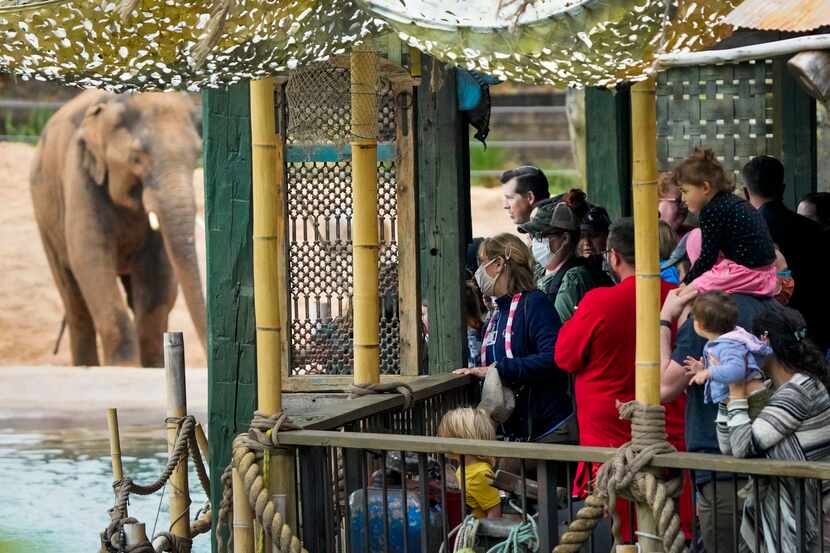 The Fort Worth Zoo has been named one of the 'World's Greatest' by Bloomberg TV.