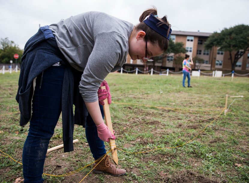 Richland College student Katherine Henson removes a stake marking an area where Richland...