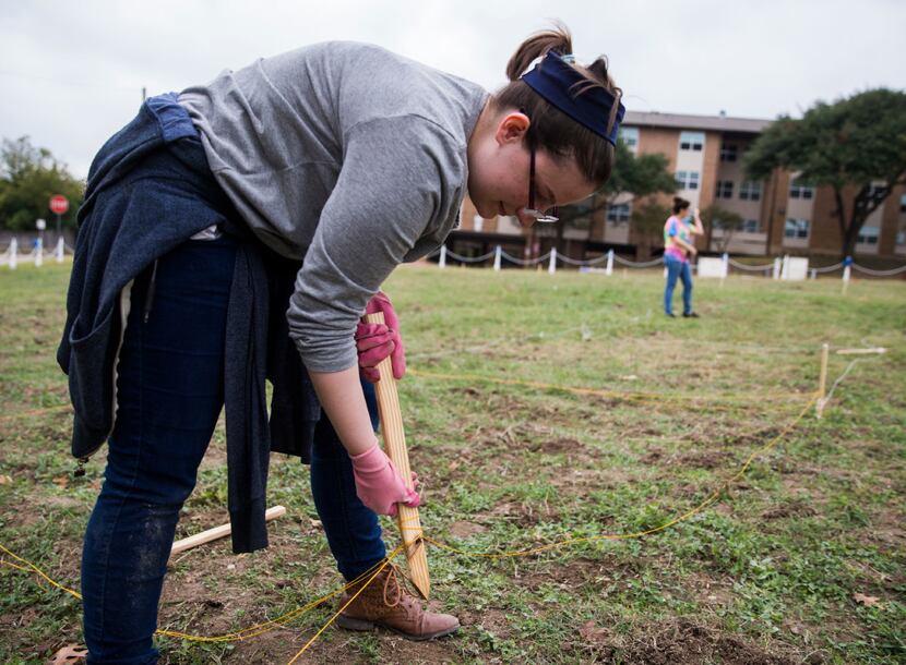 Richland College student Katherine Henson removes a stake marking an area where Richland...