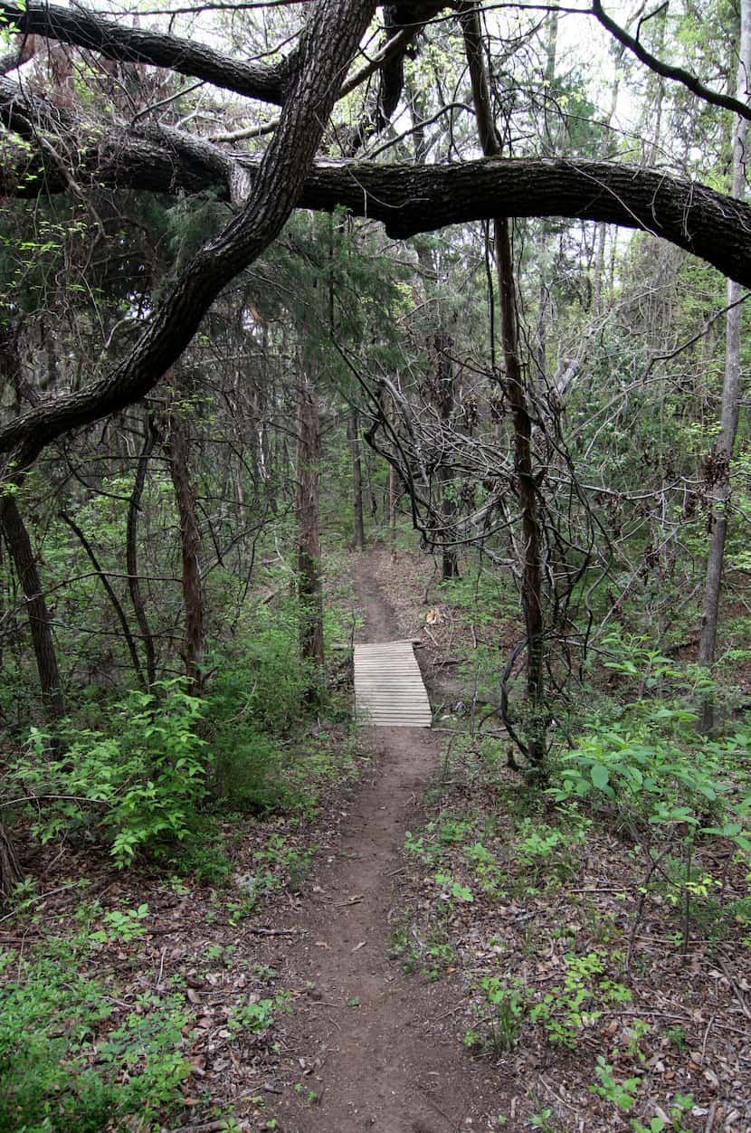 Oak Cliff Nature Preserve tiene 121 acres de bosques.