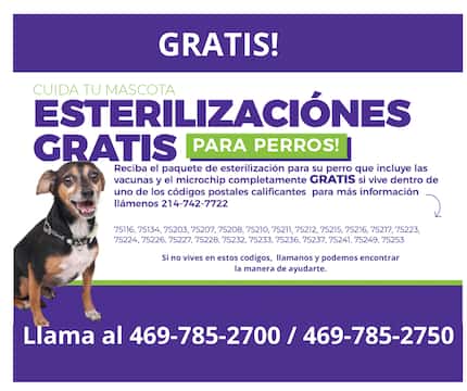 SPCA mantiene abierto el programa de esterilización gratuita de mascotas.