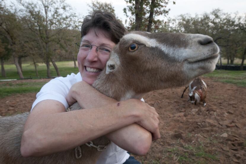 Veterinarian turned cheesemaker Anne Jones owns Latte Da Dairy in Flower Mound.  Her goat...