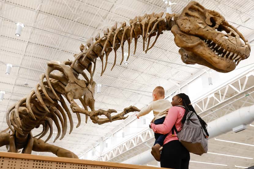 22-month-old Andrew Dorfman and Ay Ogundana enjoy their time going around Rexy, a giant...