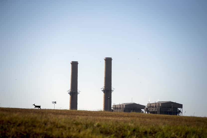 A doe runs across a field near the Big Brown coal plant Wednesday, October 14, 2015 in...