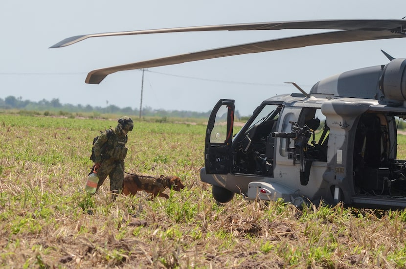 A Mexican marine and "Max", a 6-year-old hound, walk towards a waiting helicopter where a...