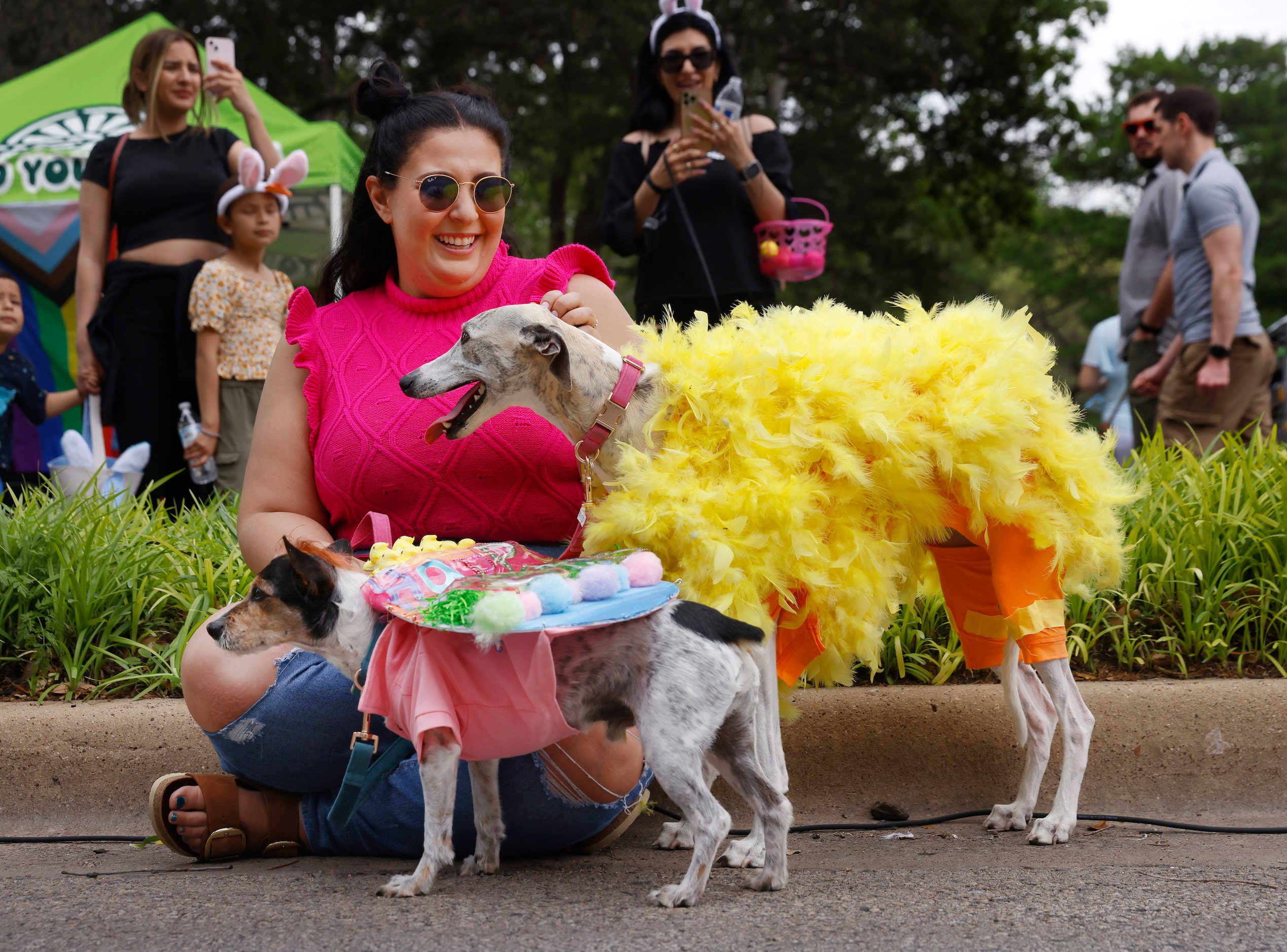 Rose Alleluia of Garland dressed her whippet Harriet and terrier-mix Walter in easter themed...