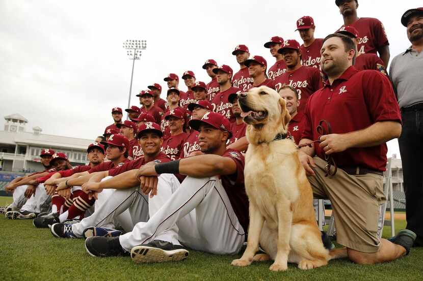 
RoughRiders team dog Brooks will be at Saturday’s Bark in the Park game at Dr Pepper...
