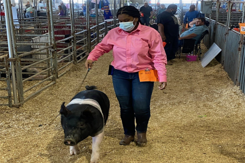 DeSoto High School sophomore Dasia Hudson is seen with her pig at the Extraco Agriculture...