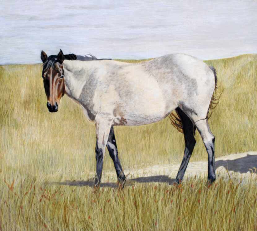 'Lone Horse in West Texas". By FW artist Natalie Erwin