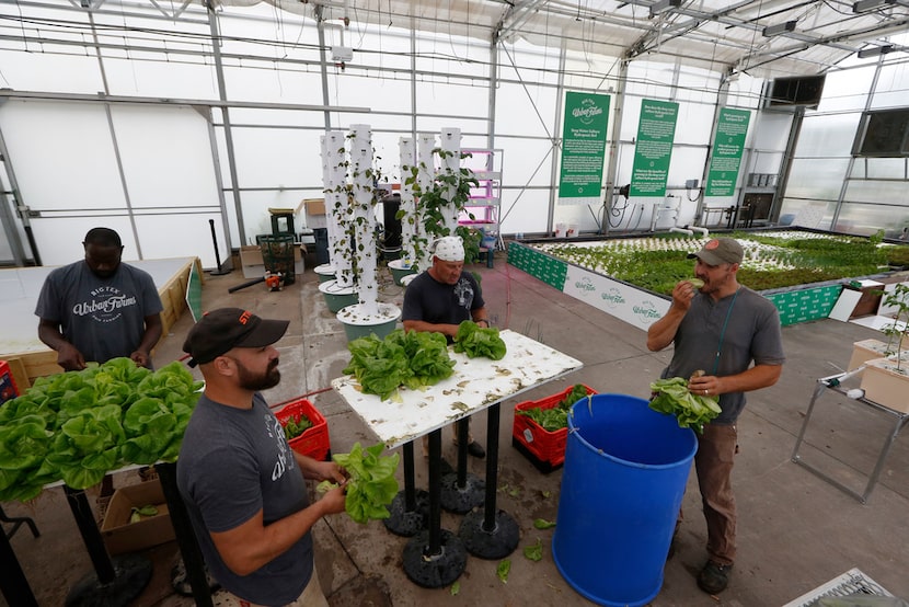 From left: Barron Horton, landscape and greenhouse supervisor, Ford James, Don Fisher and...