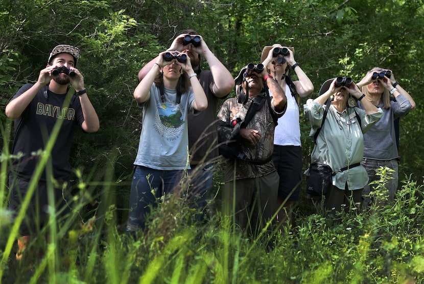 A group of mid-morning participants in a bird-identification hike at the Trinity River...