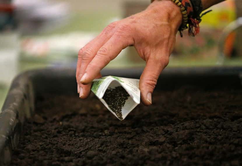Garden adviser Brieux Turner demonstrates how to plant seed during  a class at North Haven...