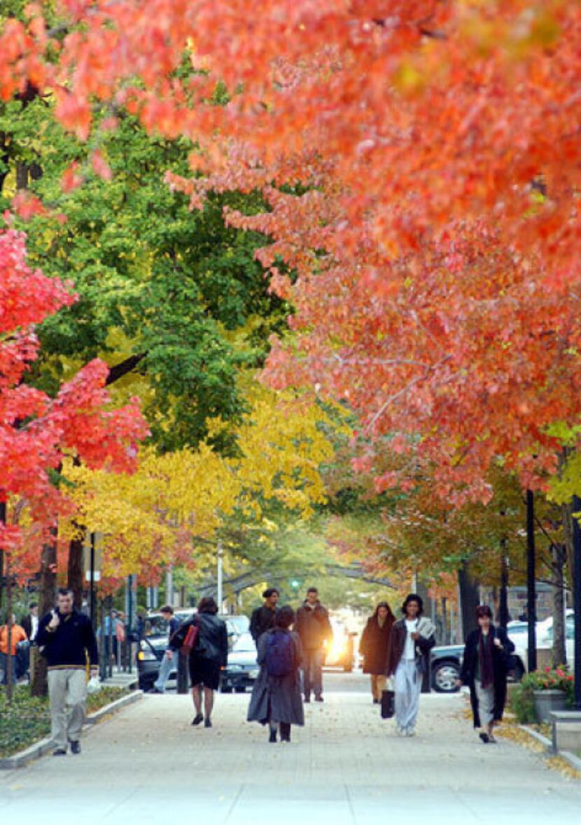 In New Haven, Conn., you'll find beautiful fall color in parks around town and on the Yale...