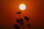 The sun rises amid high temperatures in Mexico City, Thursday, May 23, 2024. Extreme heat in...