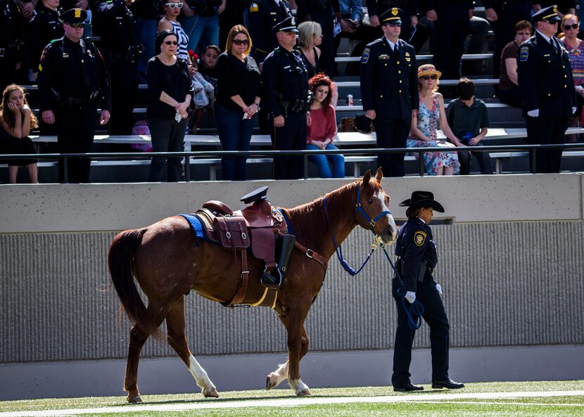  A lone horse walks across the field bearing the hat of Euless police officer David Hofer.