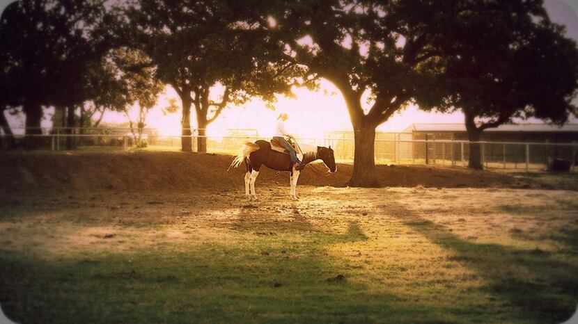 Rachael Wilson and Bonnie watch the sunrise on the ranch in Comanche. 