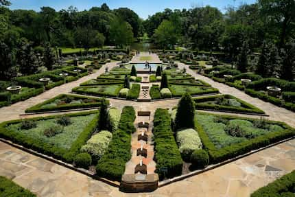 The criss-cross paths of the municipal rose garden make for a beautiful photo.