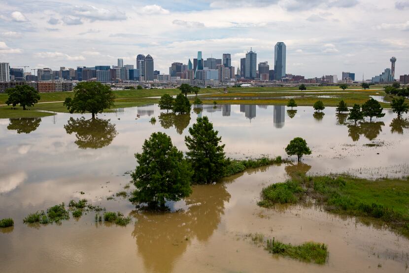 The Dallas skyline seen from a flooded Trammell Crow Park and Trinity River on Wednesday,...