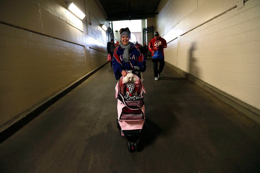 Rangers fan McCall Money and her dog Chloe, 14, walk in the tunnel to enter the field during...