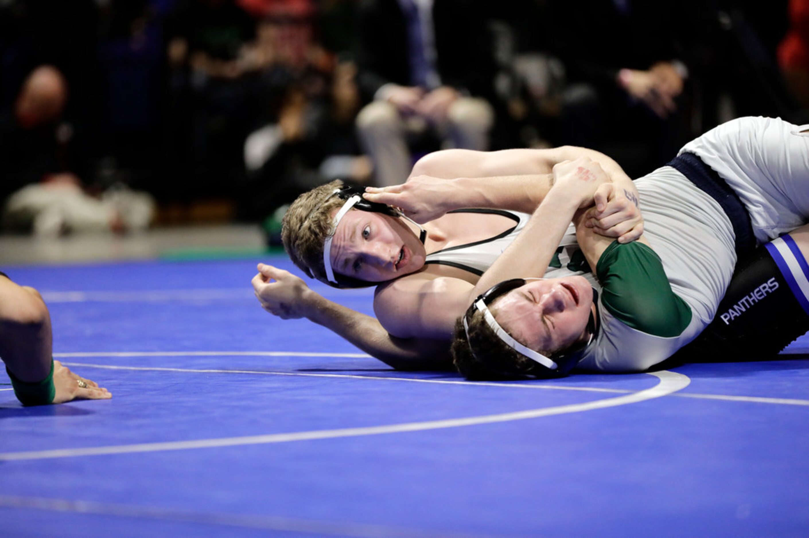 Jackson Carter of Midlothian wrestles during the UIL Texas State Wrestling Championships,...