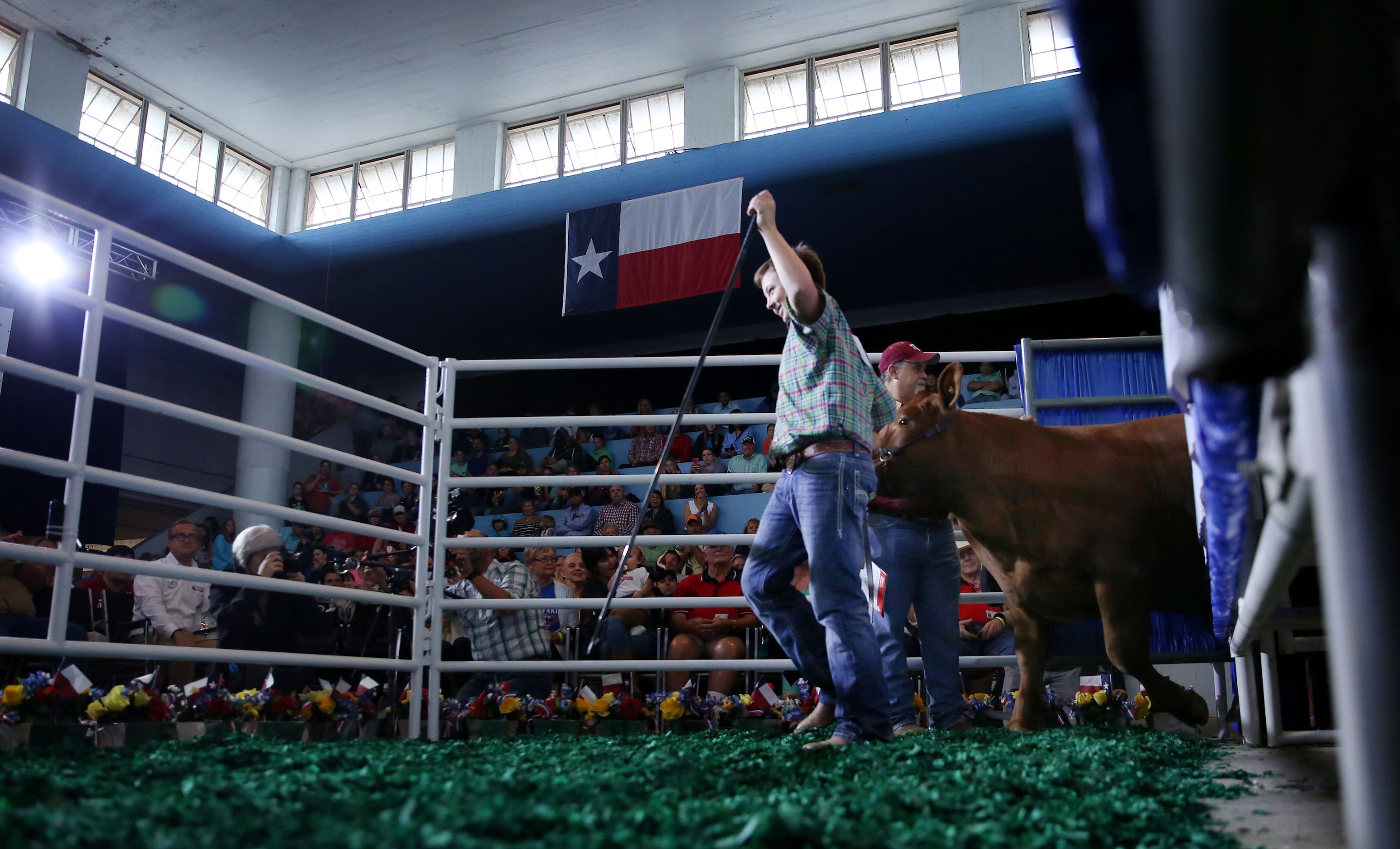 Jagger Horn, 14, enters the ring with his grand champion steer during the State Fair of...