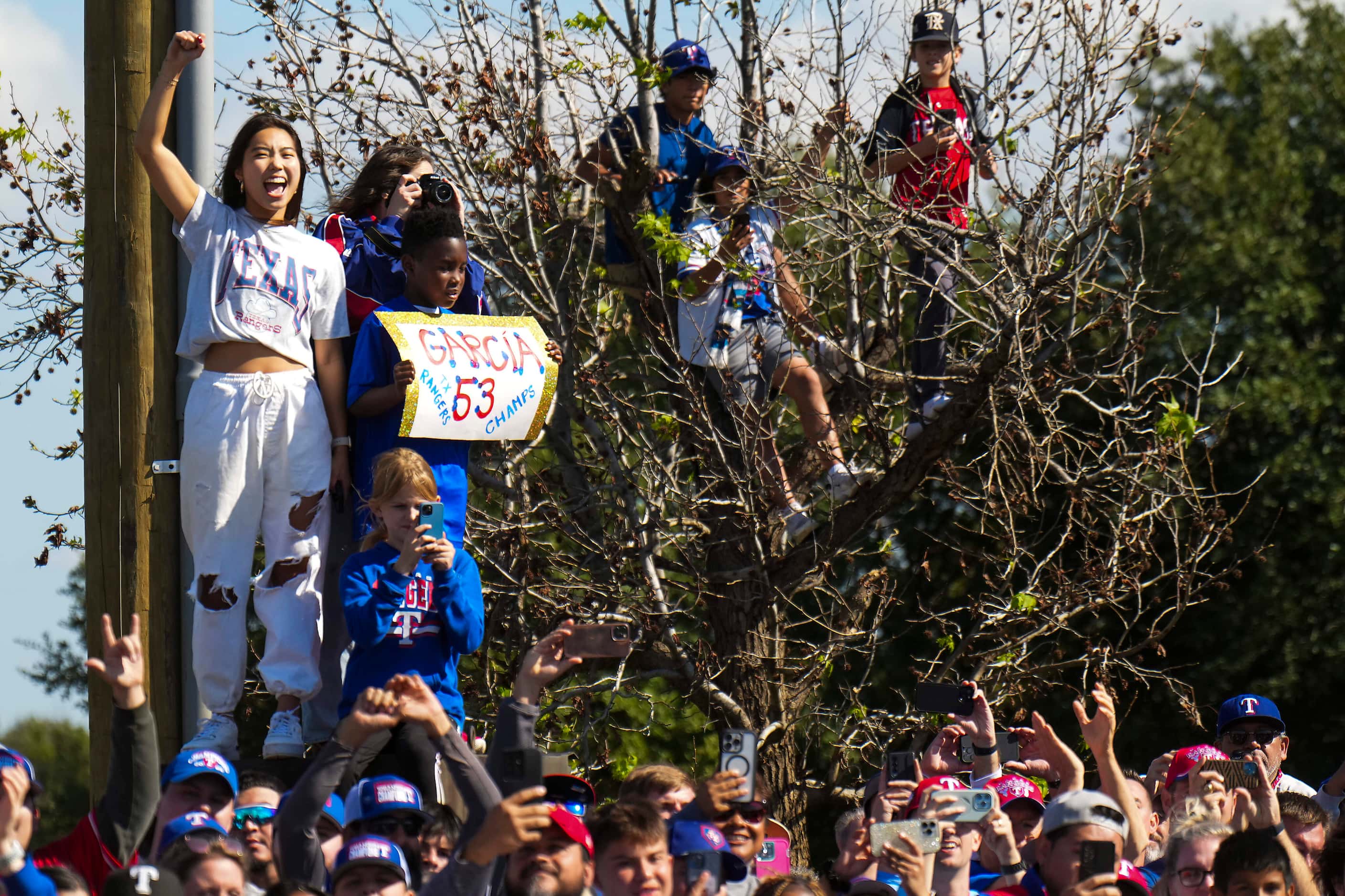 People perch in a tree to watch during the Texas Rangers World Series victory parade,...