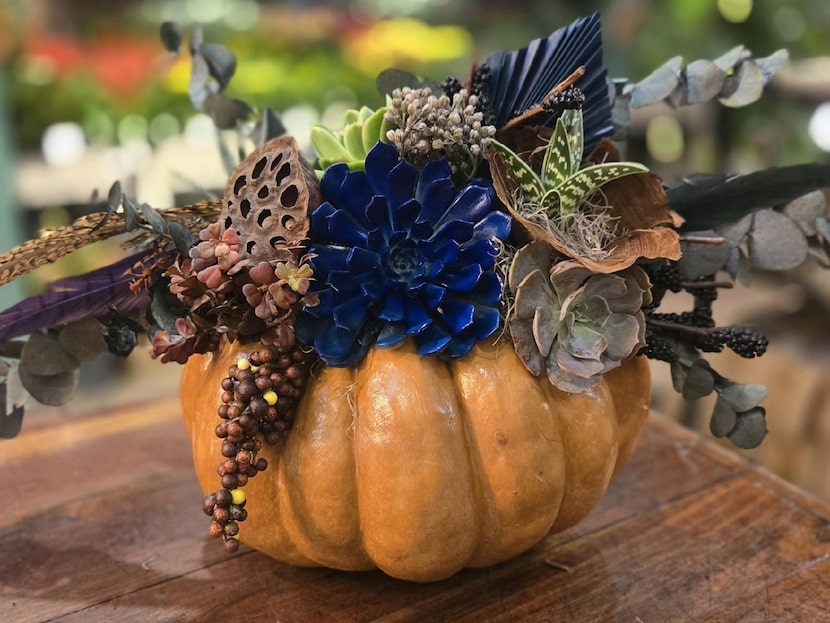 This pumpkin floral design from Nicholson-Hardie features succulents and fall foliage.